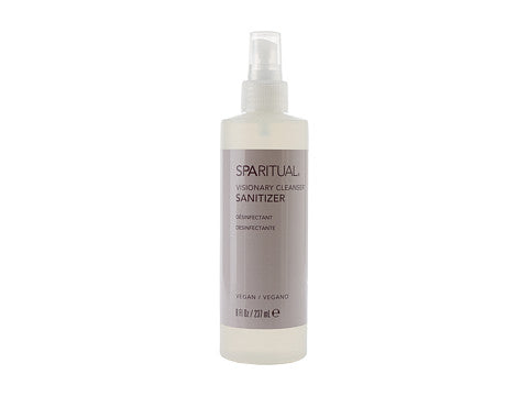 Visionärer Reiniger 237 ml