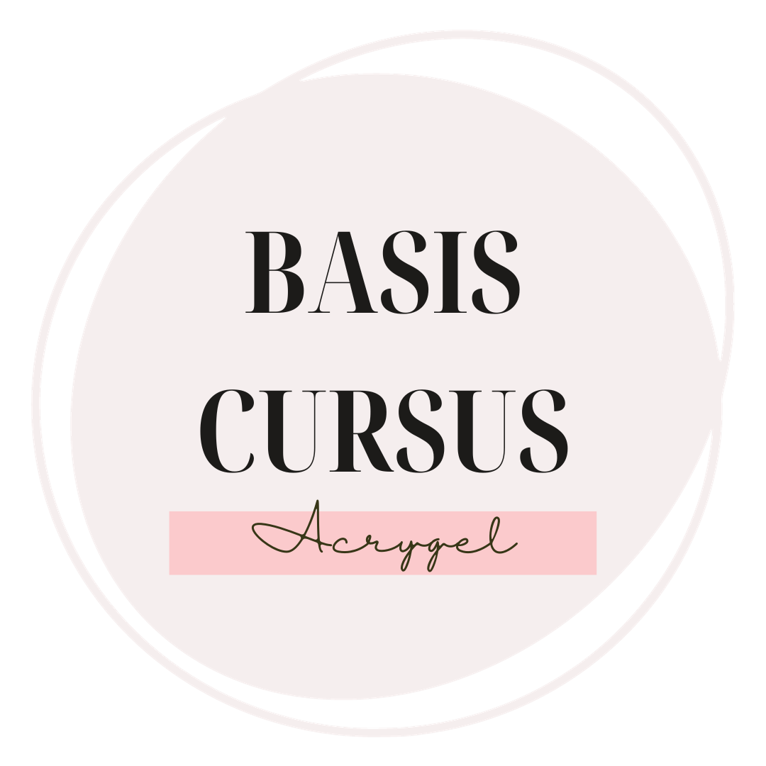 Basis cursus AcryGel incl. materiaal