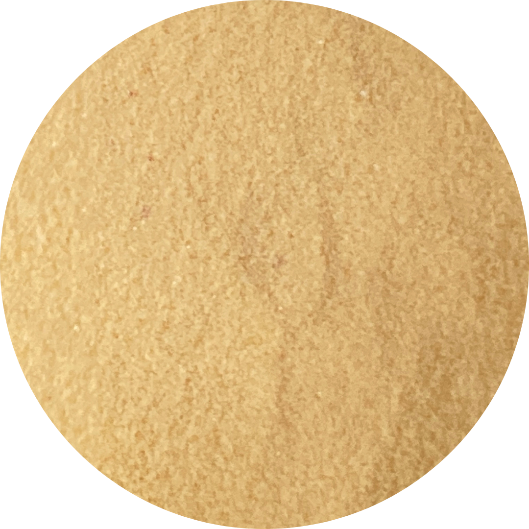 YN Orange Darling Pastel