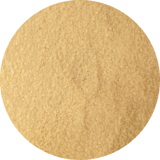 YN Orange Darling Pastel