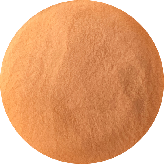 YN Tangerine Pop Bright Collection