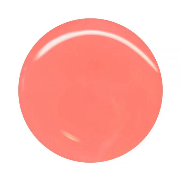 https://cdn.shopify.com/s/files/1/0728/9366/1529/files/348.webp?v=1779108492