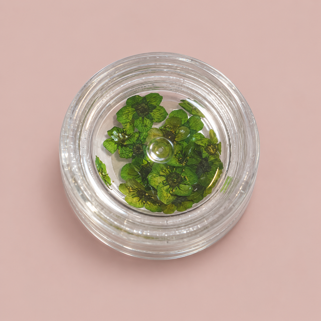 NLC Nail Art Bloemen – Groen