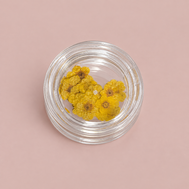 NLC Nail Art Bloemen – Geel