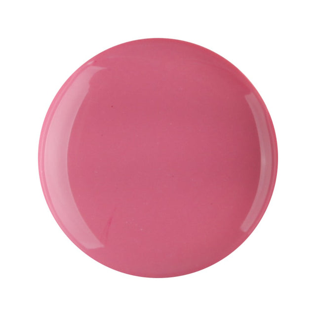 294 Color Gel Soft Pink Nude