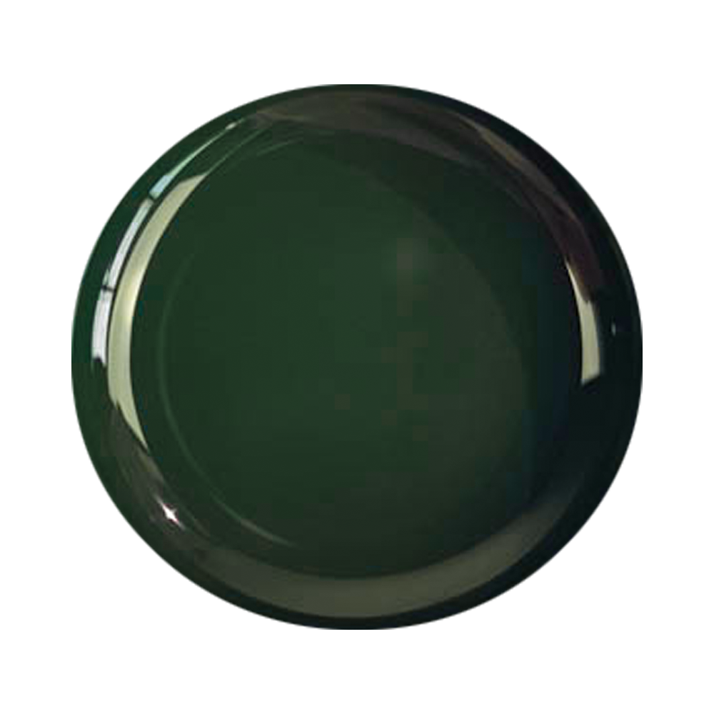 109 Color Gel Dark Forest Green