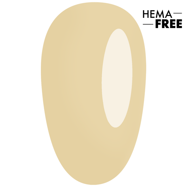 https://cdn.shopify.com/s/files/1/0728/9366/1529/files/GP231.png?v=1773308970