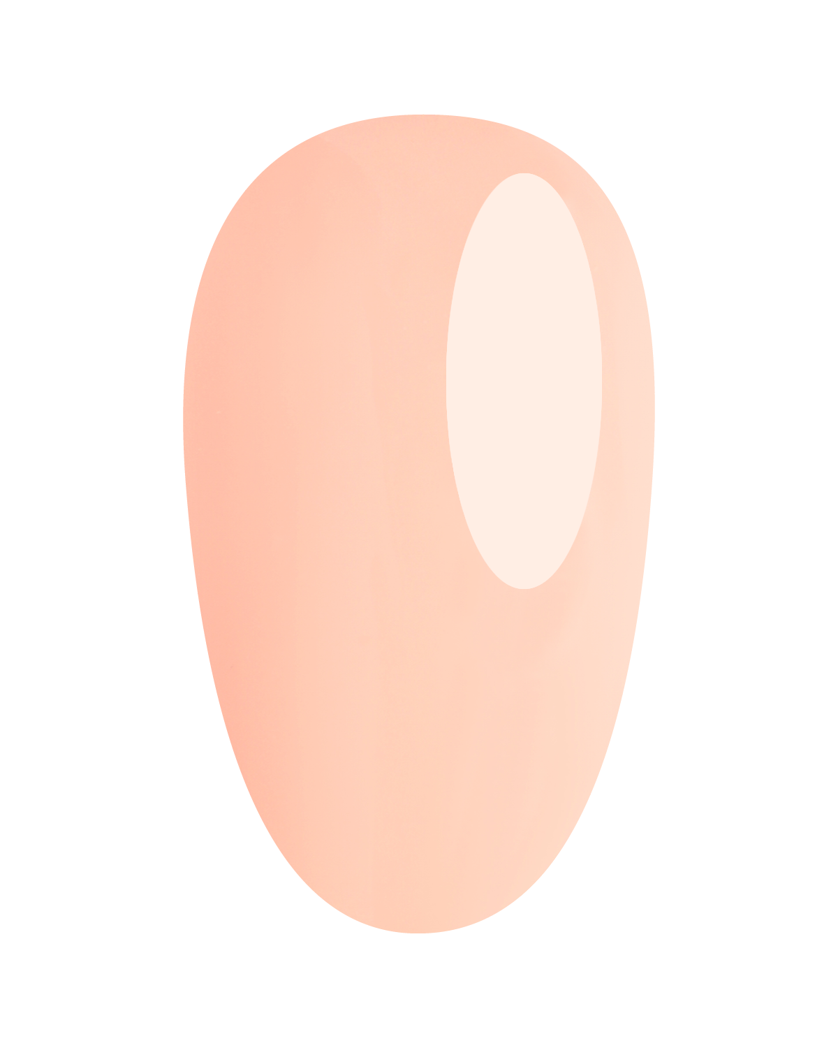 https://cdn.shopify.com/s/files/1/0728/9366/1529/files/GP385.png?v=1773323660