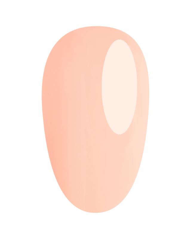 https://cdn.shopify.com/s/files/1/0728/9366/1529/files/GP385.png?v=1773323660