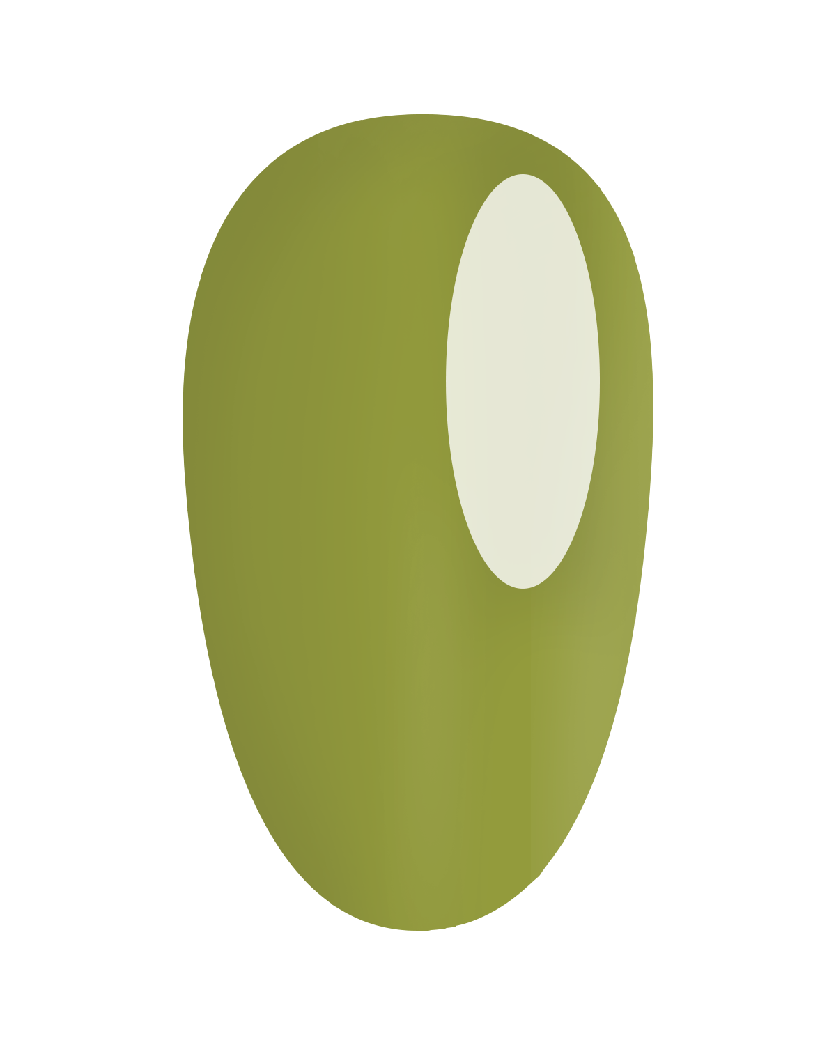 https://cdn.shopify.com/s/files/1/0728/9366/1529/files/GP404.png?v=1773323660