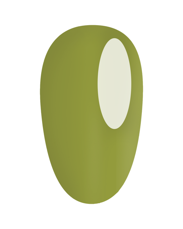 https://cdn.shopify.com/s/files/1/0728/9366/1529/files/GP404.png?v=1773323660