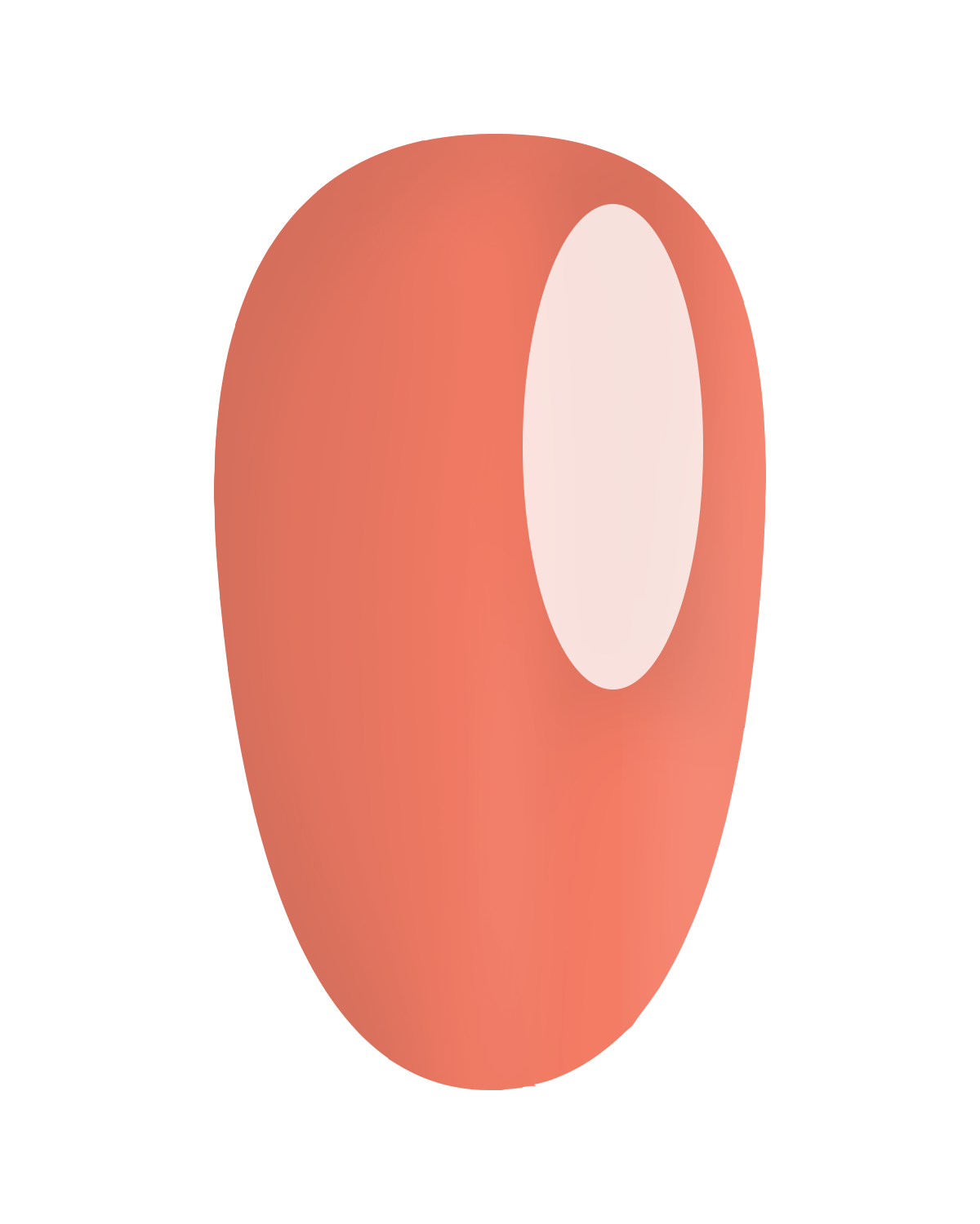 https://cdn.shopify.com/s/files/1/0728/9366/1529/files/GP406.png?v=1773323660