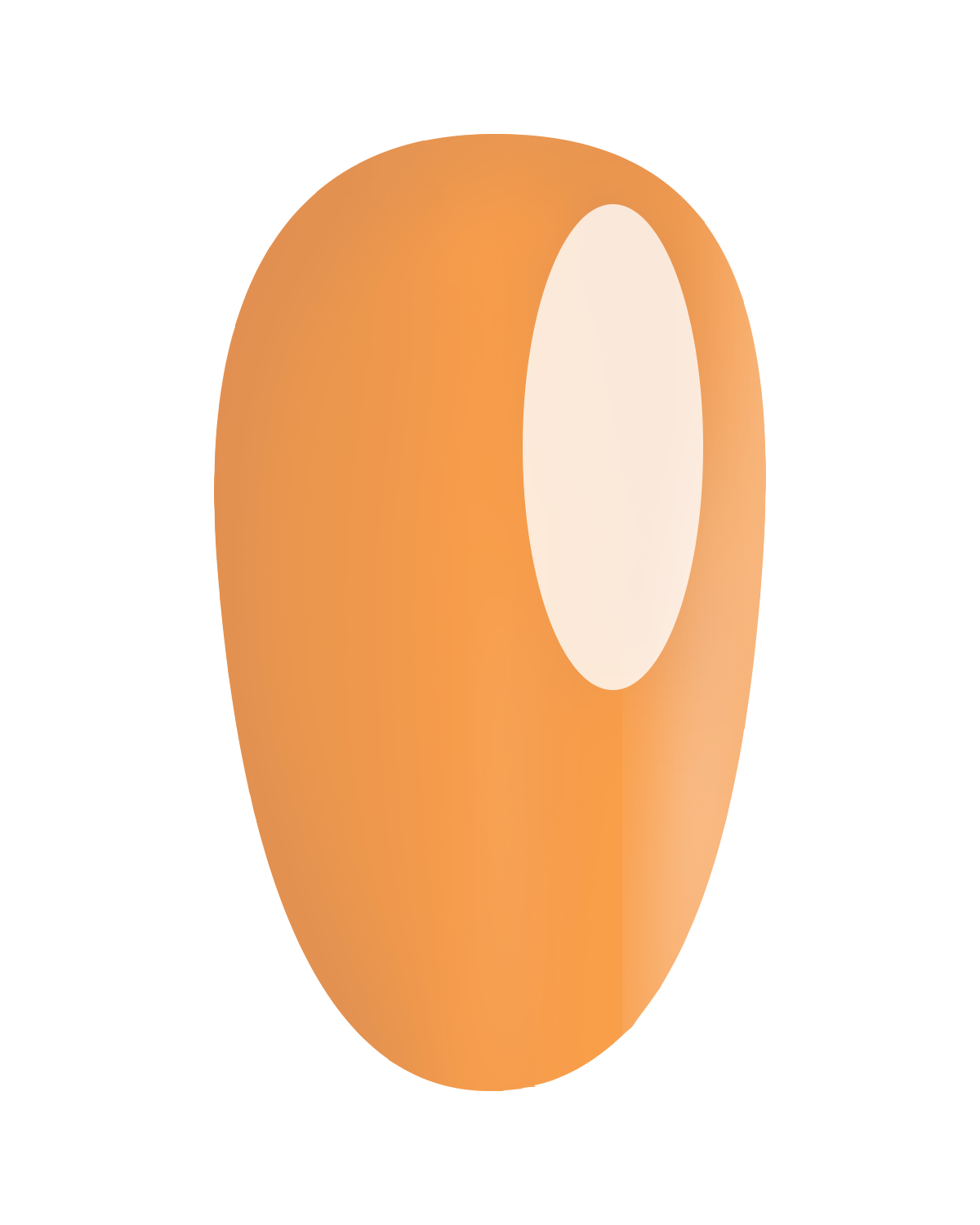 https://cdn.shopify.com/s/files/1/0728/9366/1529/files/GP447.png?v=1773657300