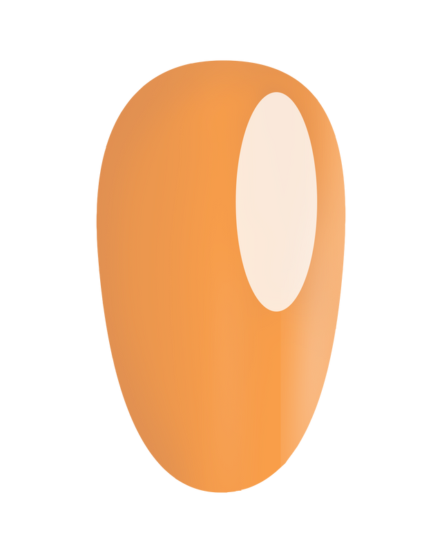 https://cdn.shopify.com/s/files/1/0728/9366/1529/files/GP447.png?v=1773657300