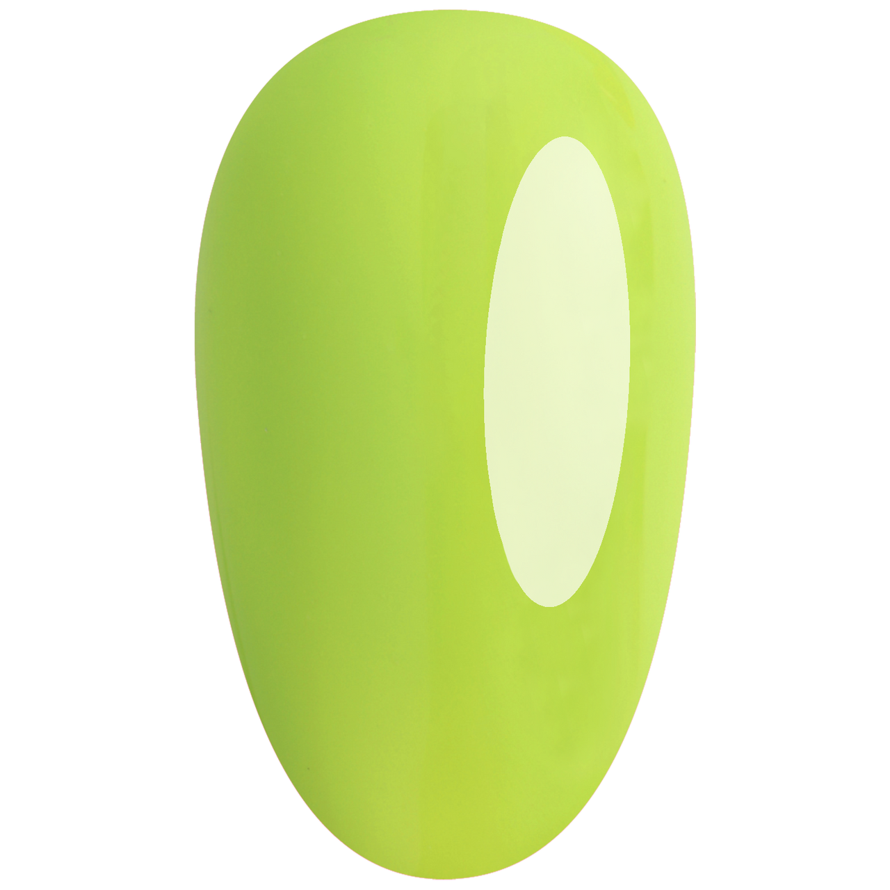 https://cdn.shopify.com/s/files/1/0728/9366/1529/files/GP475.png?v=1773657300