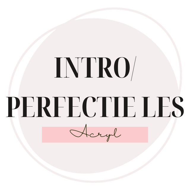 Introductie / Perfectie les Acryl