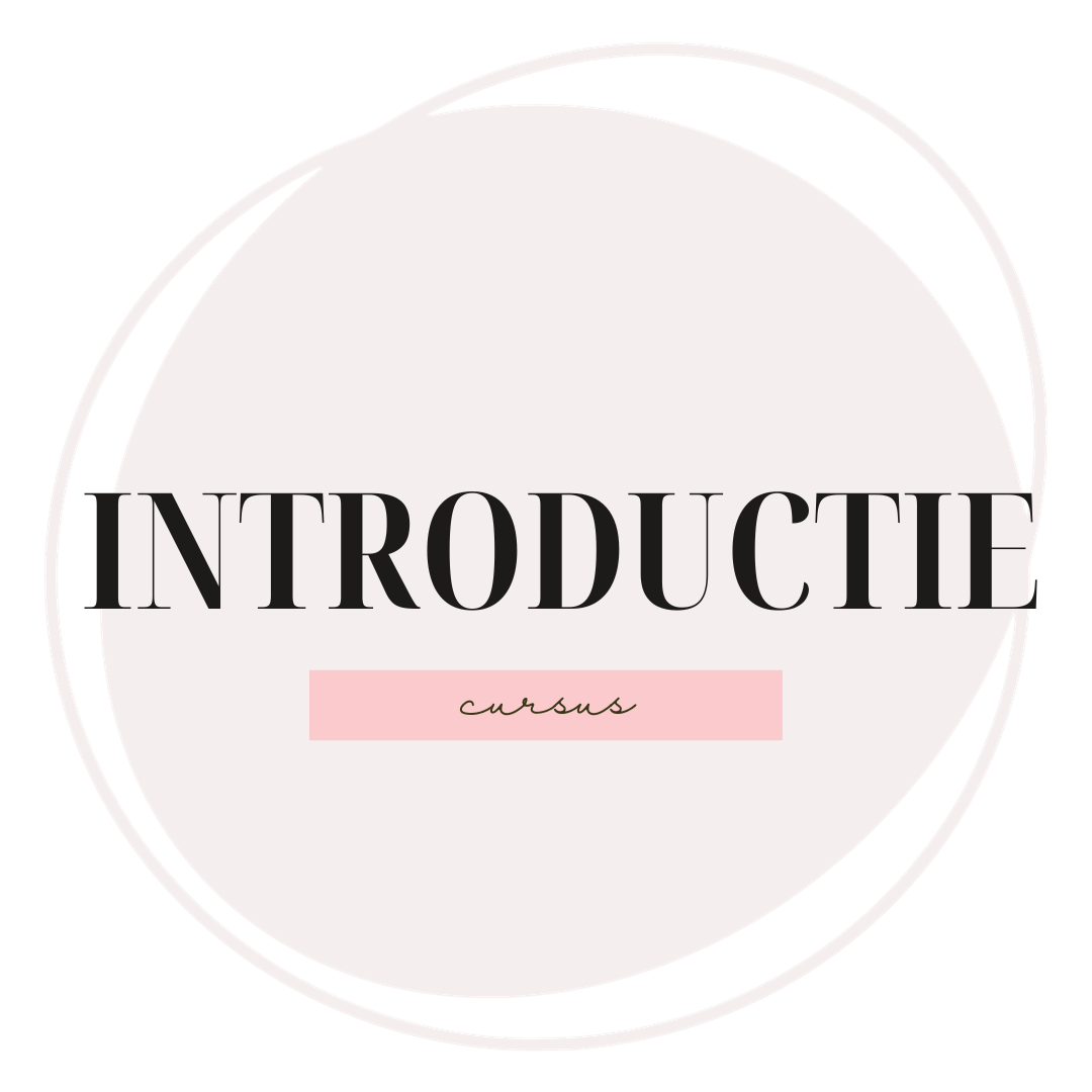 Introductieles Nagelstyling – Kennismaking bij SalonCosmetics